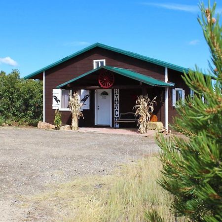 Ranch Mountain Cabin, Stunning! Campfire, Hiking 蒙蒂塞洛 外观 照片