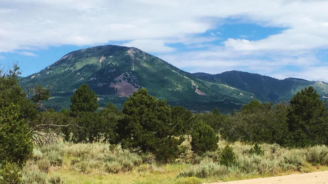 Ranch Mountain Cabin, Stunning! Campfire, Hiking 蒙蒂塞洛 外观 照片