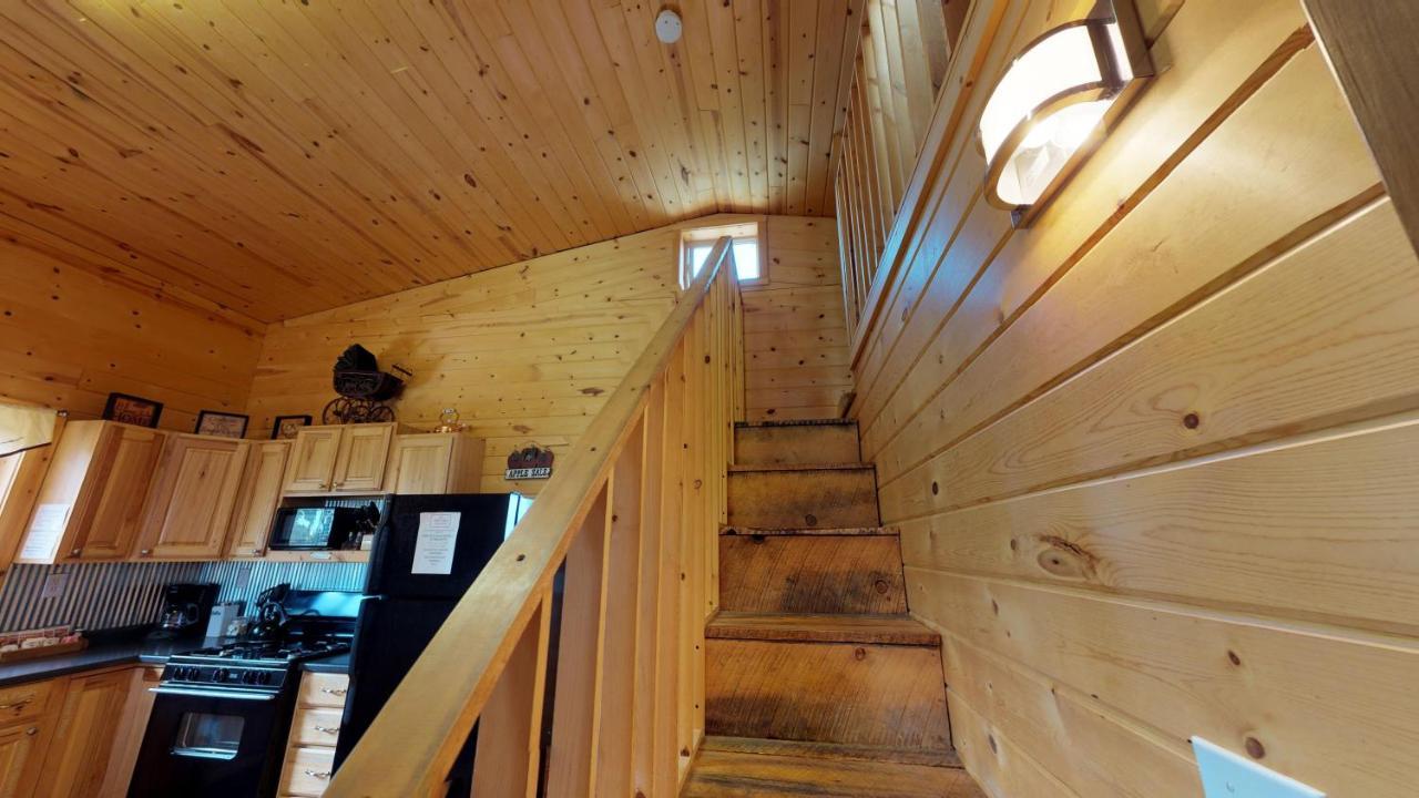 Ranch Mountain Cabin, Stunning! Campfire, Hiking 蒙蒂塞洛 外观 照片