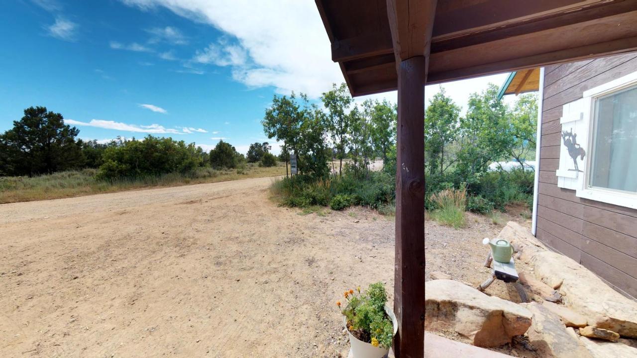 Ranch Mountain Cabin, Stunning! Campfire, Hiking 蒙蒂塞洛 外观 照片