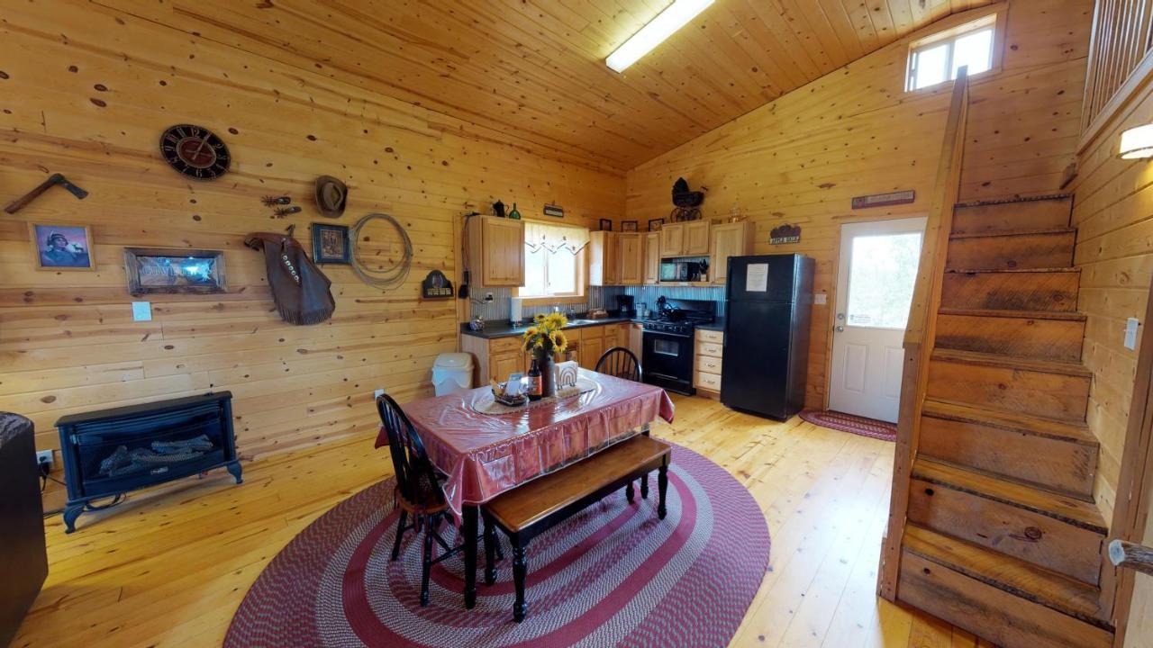 Ranch Mountain Cabin, Stunning! Campfire, Hiking 蒙蒂塞洛 外观 照片